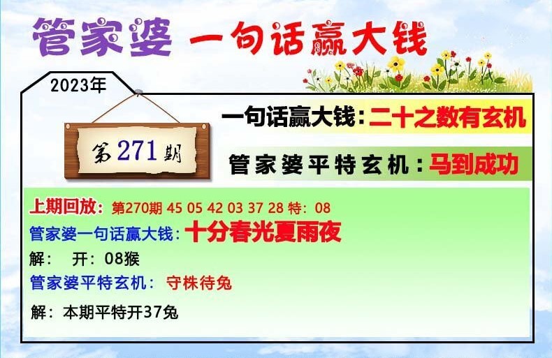 202管家婆一肖一码,最佳实践策略实施_扩展版8.71