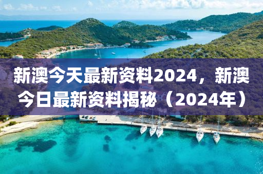 2024新澳精准资料免费,精细化策略落实探讨_终极版7.63