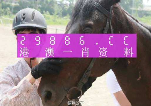 澳门一肖一码一必中一肖，全面解答解释落实_V96.92.30