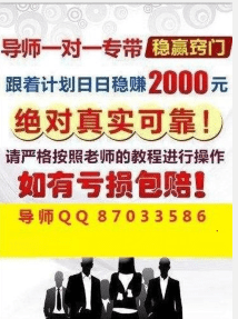 2024天天彩资料大全免费，效率资料解释落实_V73.4.95