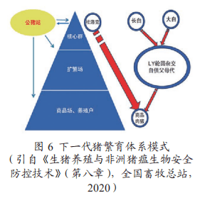 信息技术 第42页