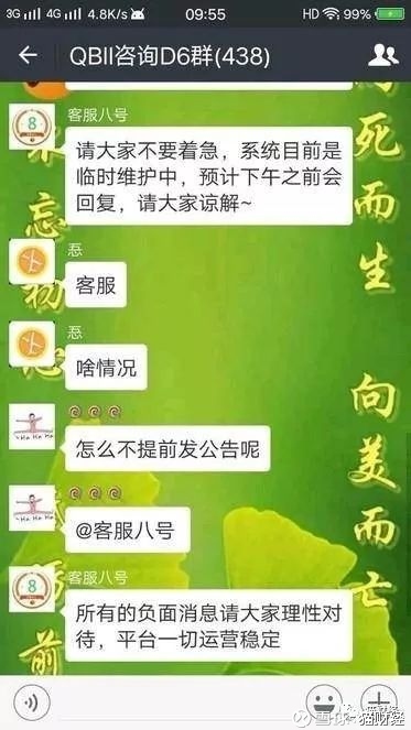 南京钱宝最新消息