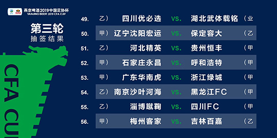 2024新澳门全年九肖资料，绝对经典解释落实_BT4.88.71