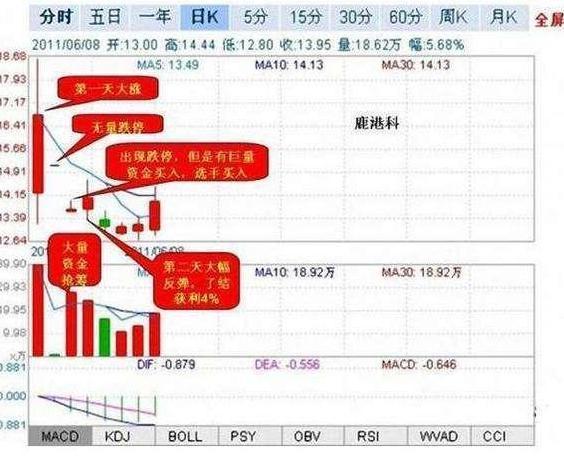 管家婆一码中一肖2024,先进技术执行分析_铂金版0.42