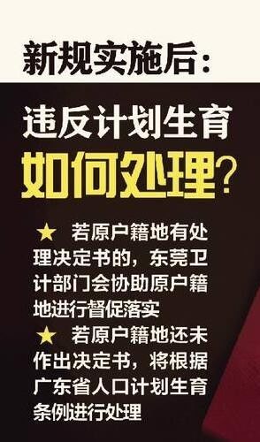 东莞超生入户政策最新动态，调整及未来展望