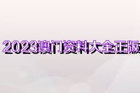 澳门资料大全正版资料2023年免费,决策资料解释落实_win305.210