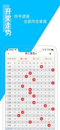 澳门王中王开奖只开结果,高效实施方法解析_标准版90.65.32