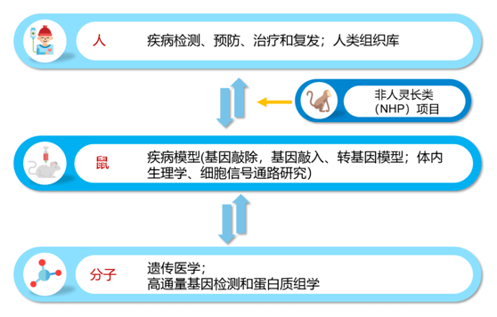 白小姐三肖三期必出一期开奖医,安全评估策略_社交版84.252