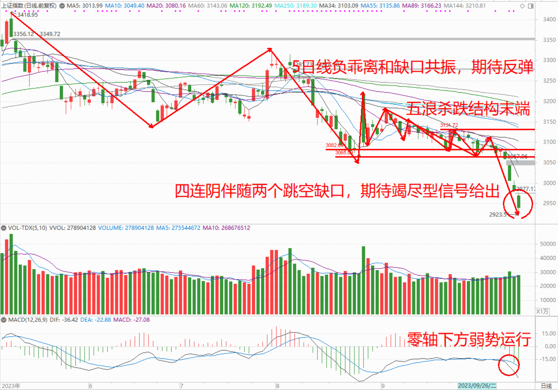 今晚澳门特马开的什么号码,最新热门解答落实_精英版49.184