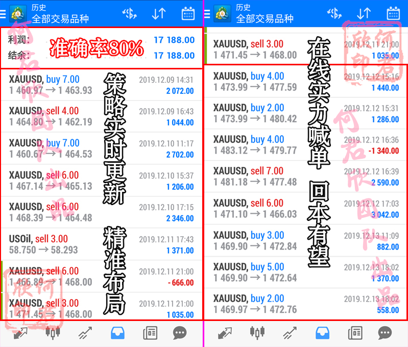 2024新澳免费资料大全精准版,广泛的关注解释落实热议_黄金版3.236