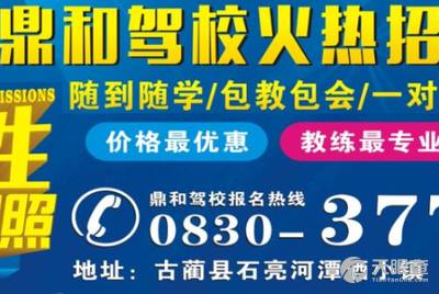 增城司机招聘最新动态，黄金机遇与挑战的职业发展之路