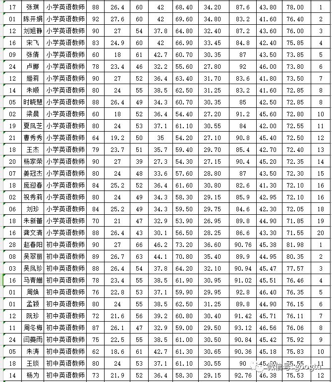 莘县教师编最新信息全面解析