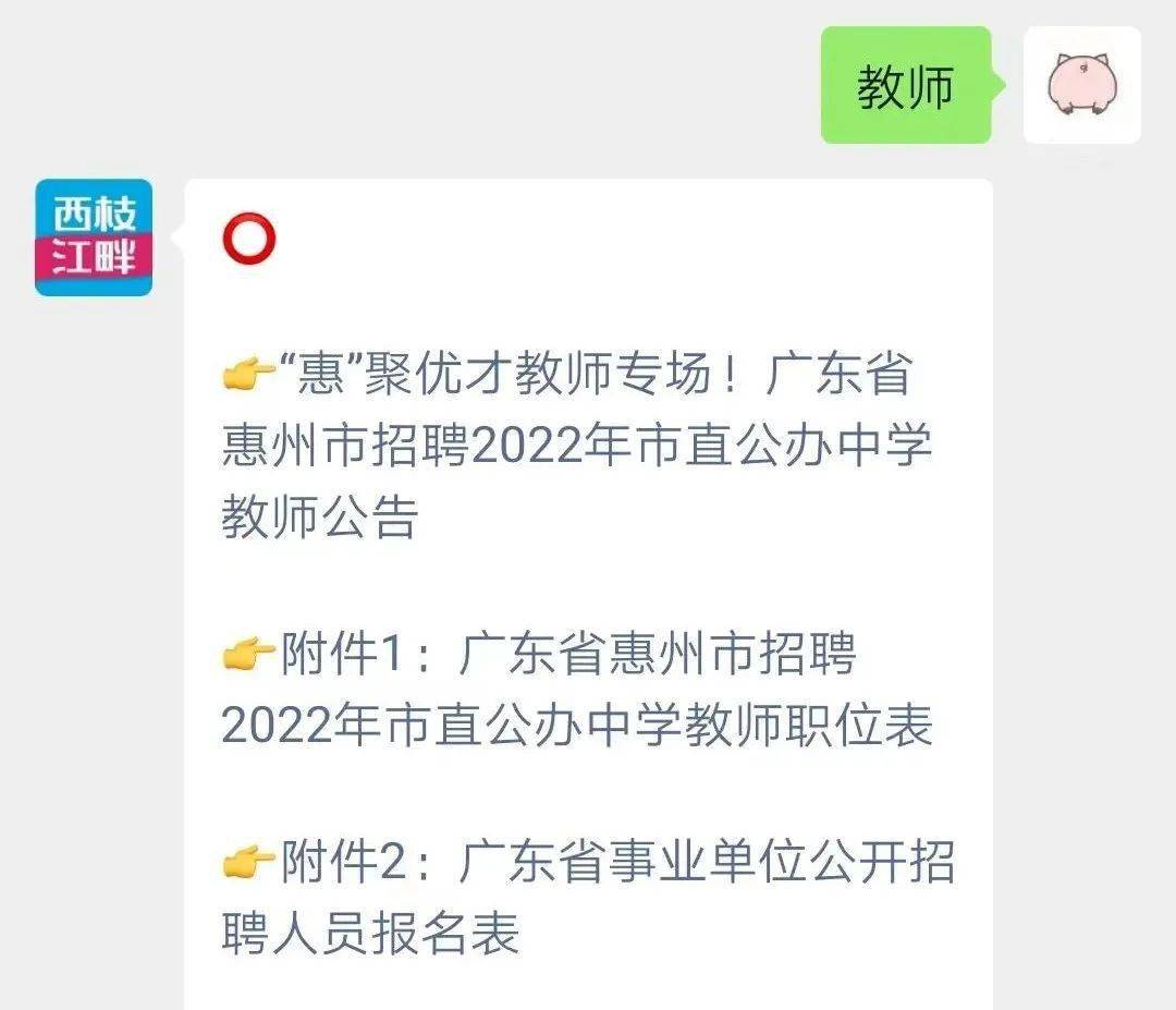 惠州生活老师招聘最新动态解读