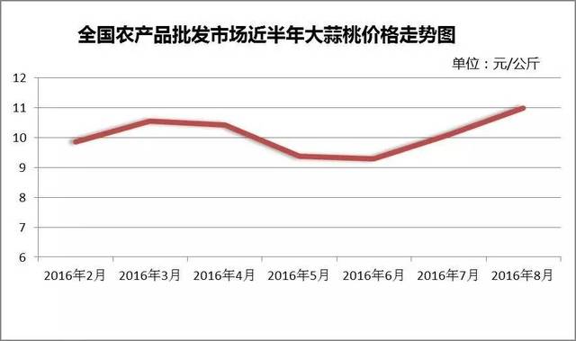 河南大蒜行情最新走势分析