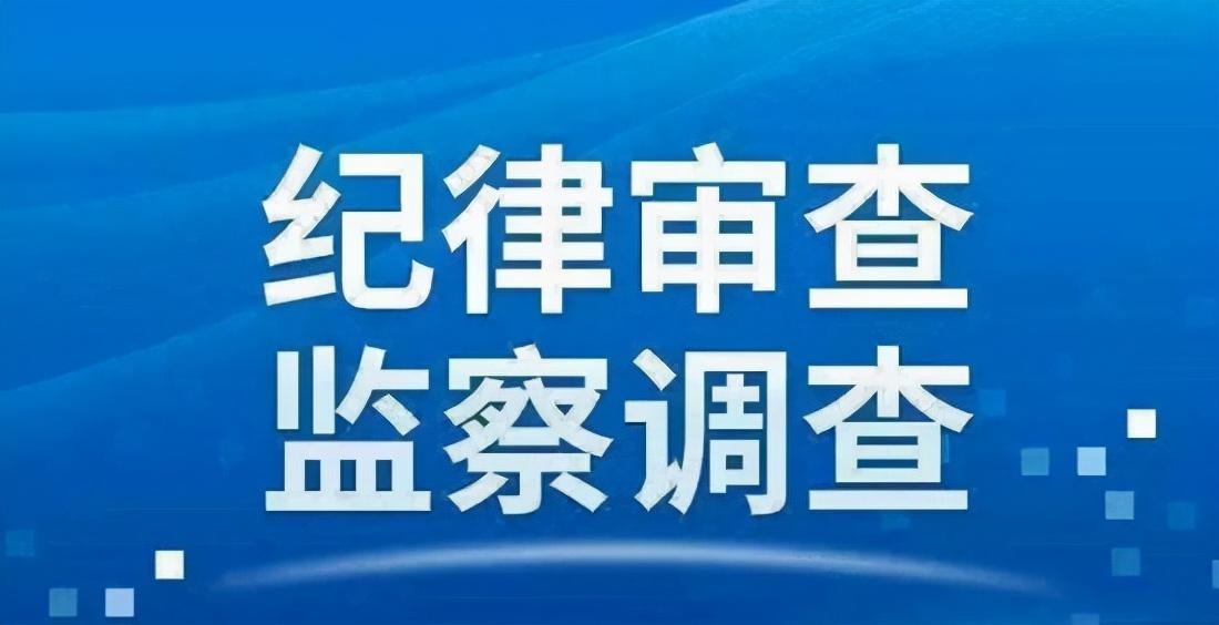 固始县数据和政务服务局领导团队最新概述