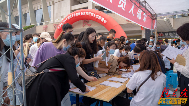 庆阳市供电局最新招聘信息全面解析