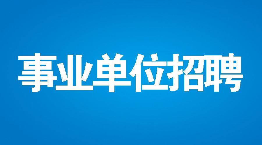 丽江市商务局最新招聘概览