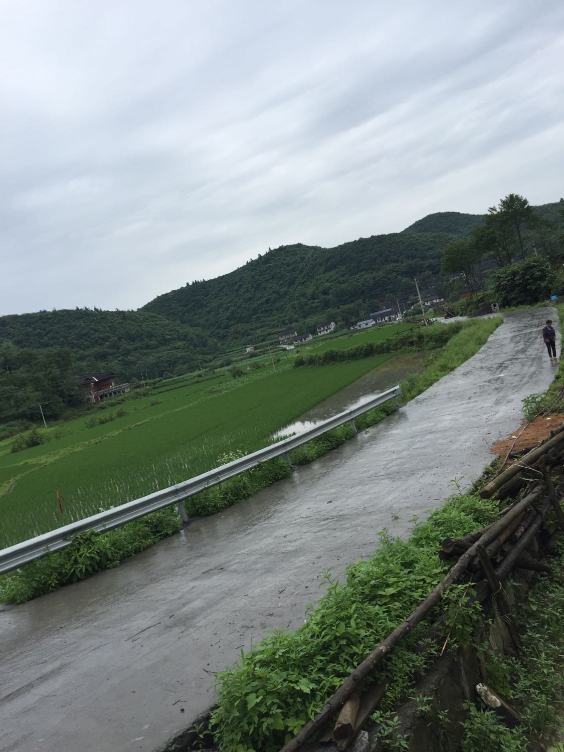 茅塘镇天气预报更新通知