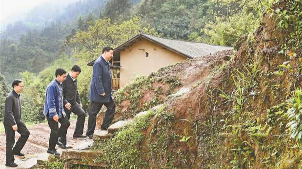 岩窝村乡村振兴新篇章，社区发展新动态与新闻速递