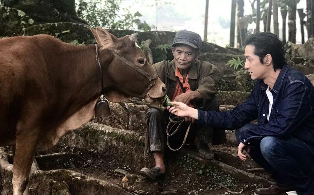 翁丁最新项目，探索之旅与未来展望