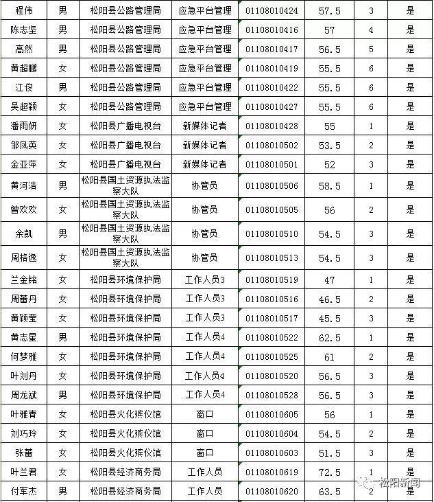 松阳县小学最新招聘启事概览