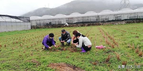 碎了的花 第2页