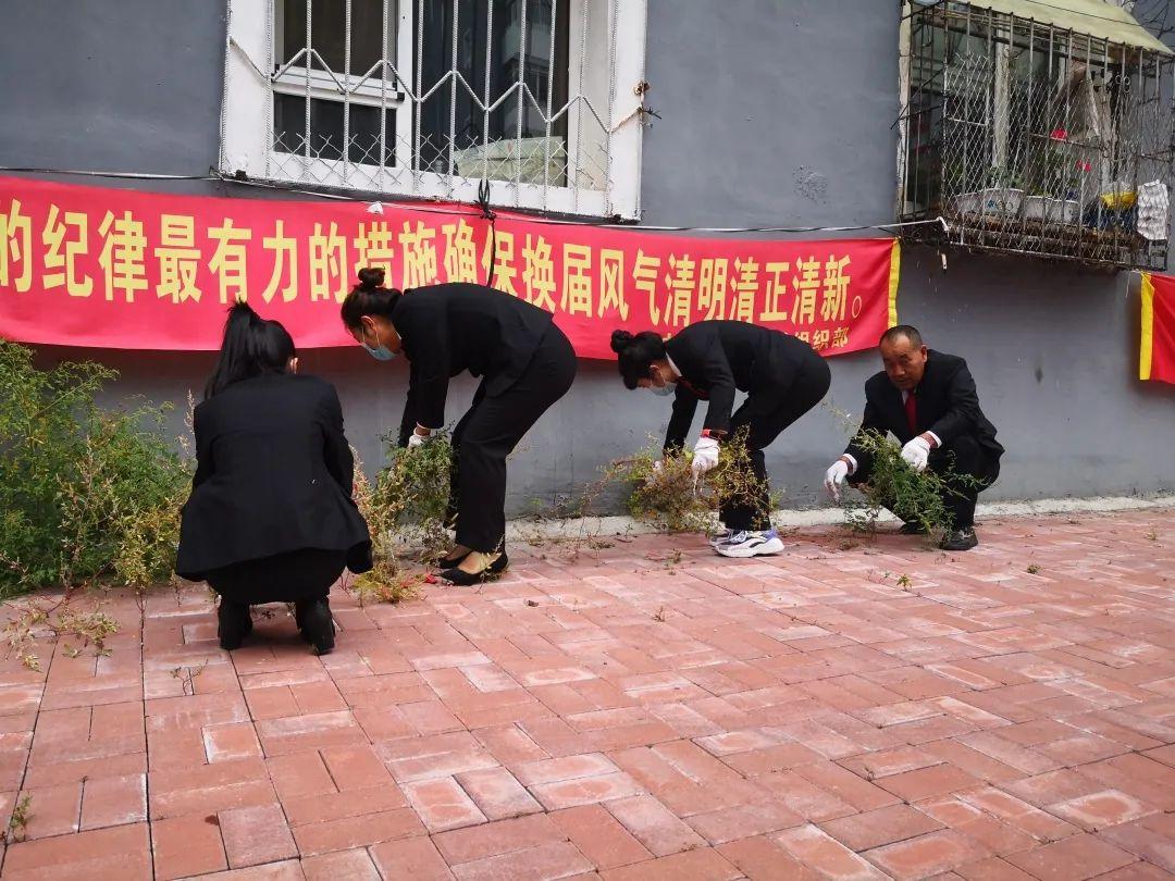 东昌街道未来发展规划揭秘，塑造城市新面貌的蓝图