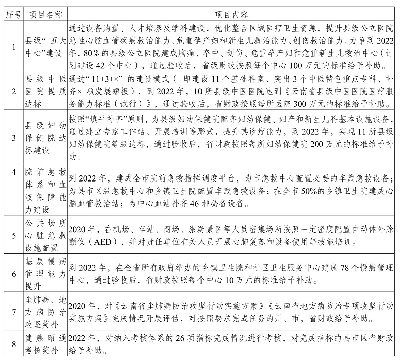 金平苗族瑶族傣族自治县卫生健康局发展规划展望