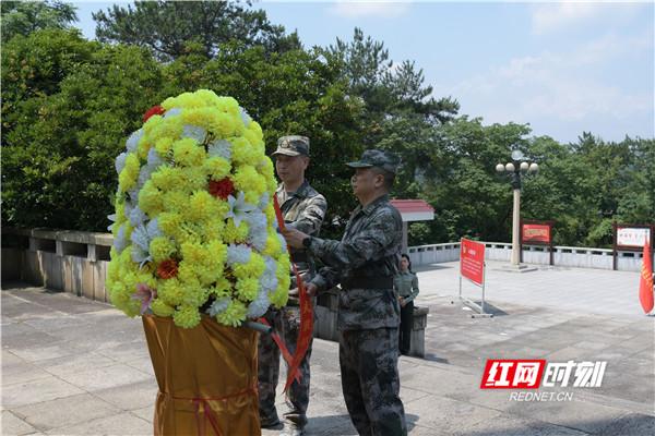 北湖区教育局最新发展规划，塑造未来教育蓝图