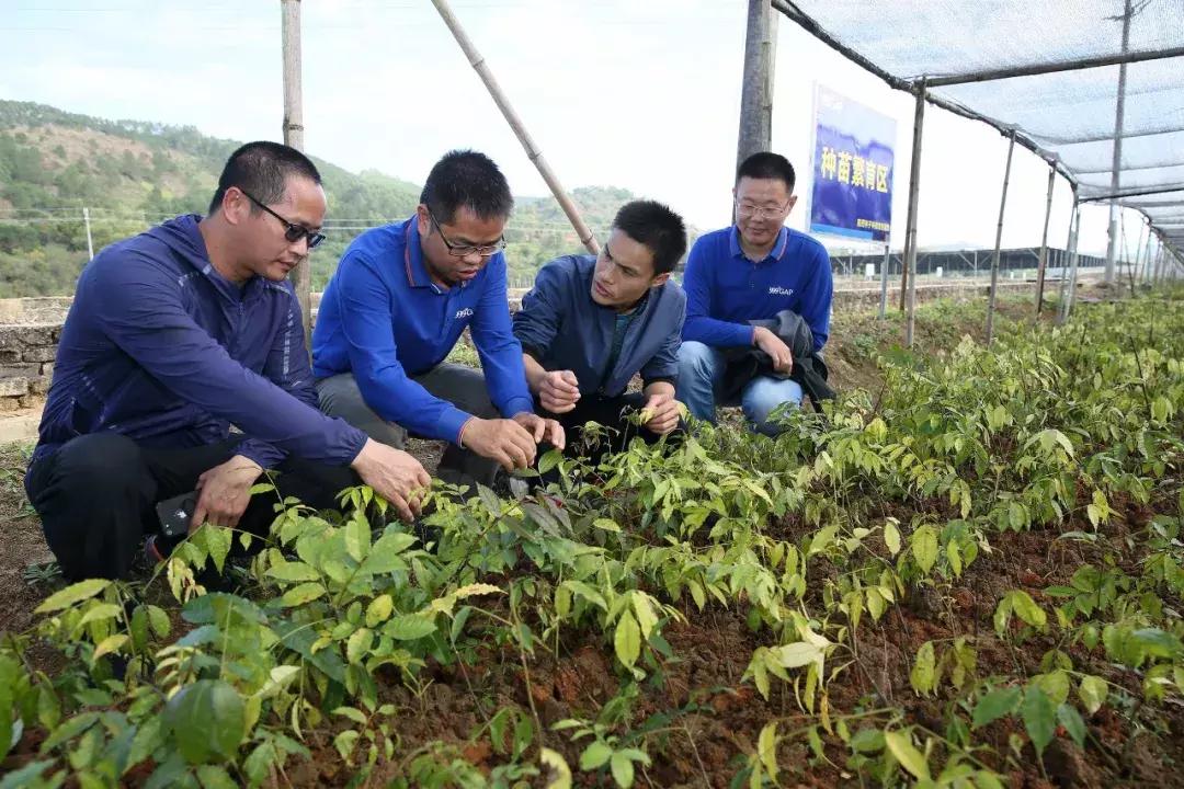 罗定市人力资源和社会保障局最新人事任命，构建坚实人才保障体系