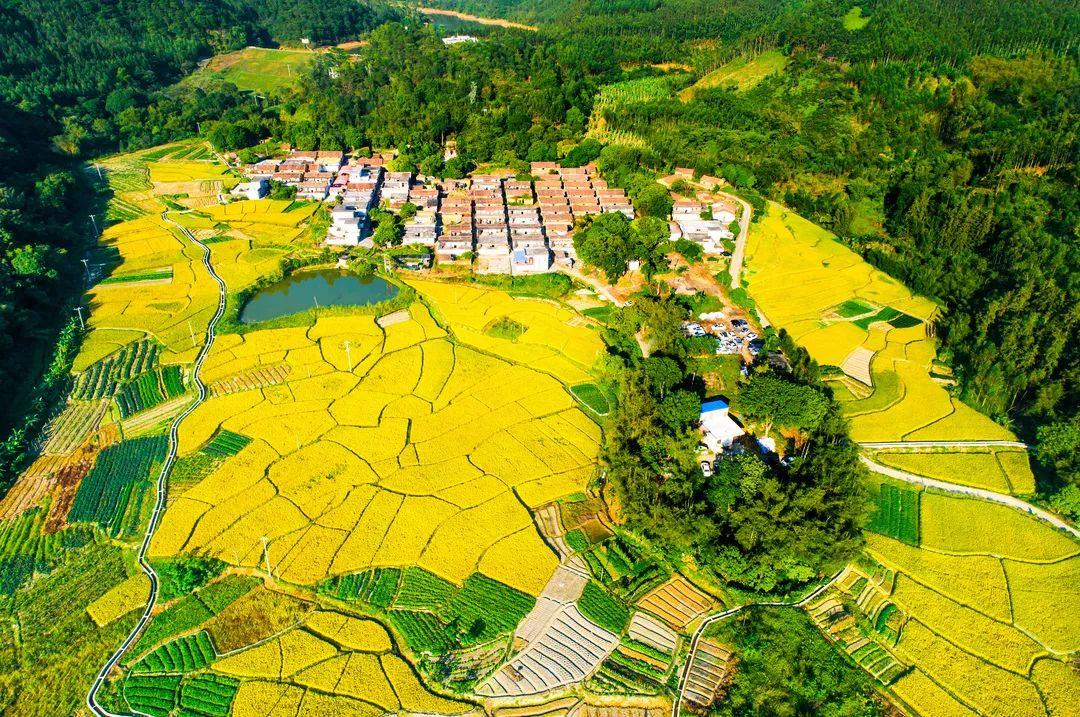 肇庆市扶贫开发领导小组办公室新项目助力地方发展与脱贫攻坚齐头并进