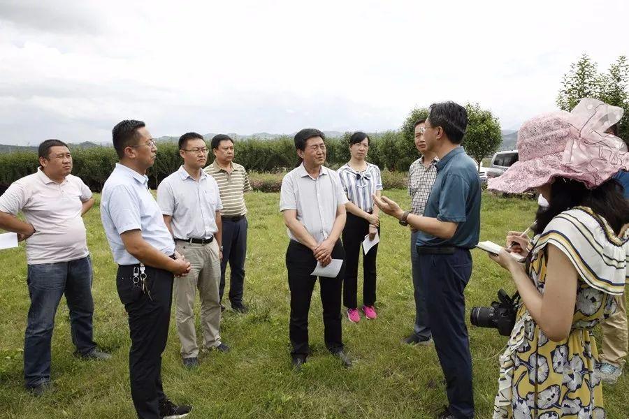 徽县交通运输局新项目推动地方交通发展，助力县域经济腾飞