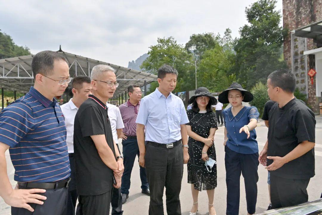 天子山镇未来旅游胜地规划蓝图发布，最新发展规划揭秘