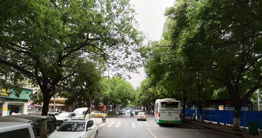 将军路街道天气预报更新通知