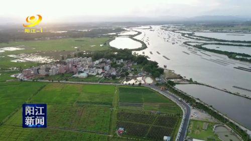 阳江市农业局最新动态报道