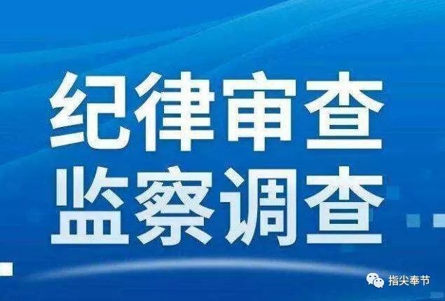 杨湾村民委员会最新招聘启事概览