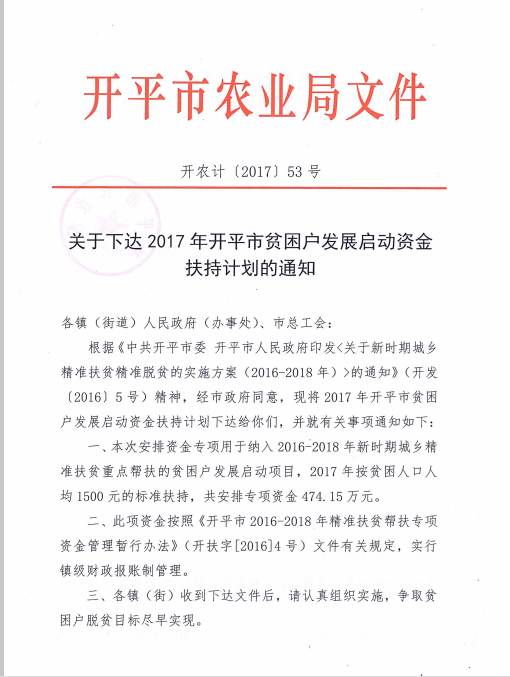 开平市财政局发展规划，构建稳健财政，推动城市繁荣发展