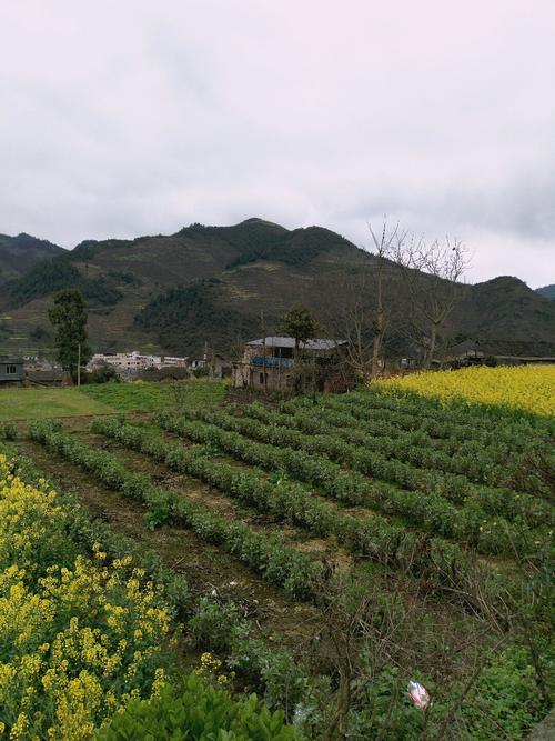 葛村乡天气预报更新通知